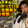 魔男のイチの現在わかっている魔法と生態系を深掘り考察